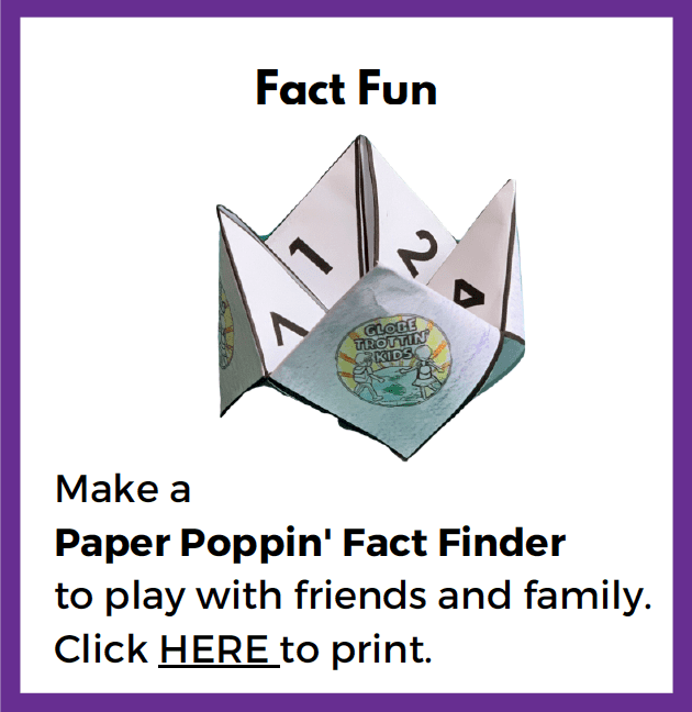 Fact Finder