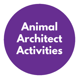 animal-architect-activities