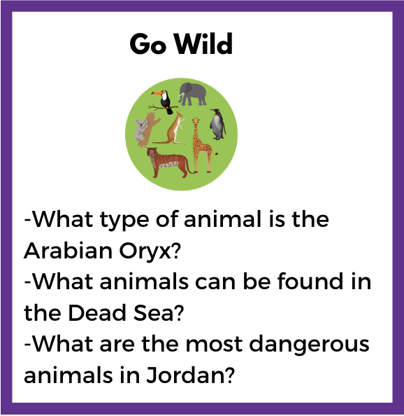 jordan-animals