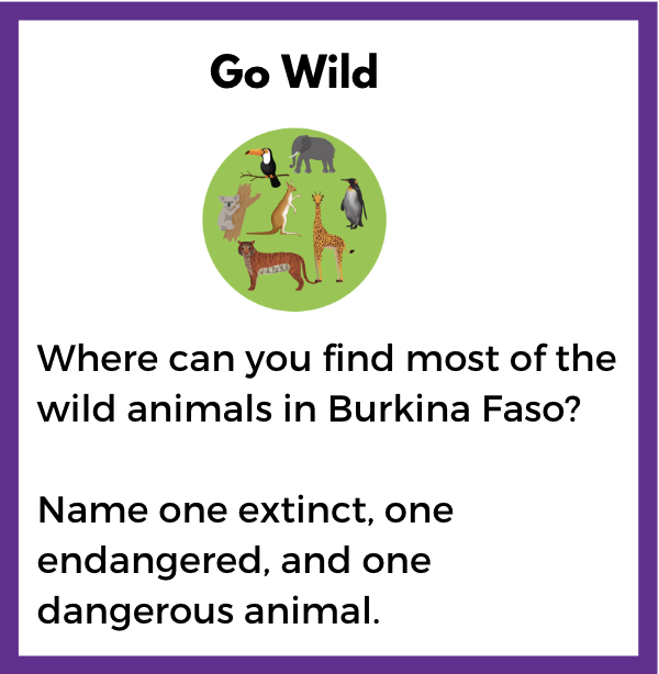 Burkina-Faso-animals